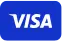 Visa Zahlungsmethode